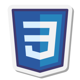 CSS Logo